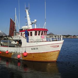 Experience the real Lofoten fisheries and spend 3 days in a authentic rorbu.