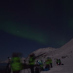 Whale and Northern lights in Lyngen