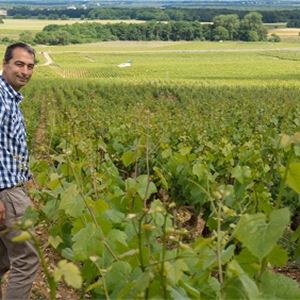 L'incontournable Pic Saint Loup avec Montpellier Wine Tours