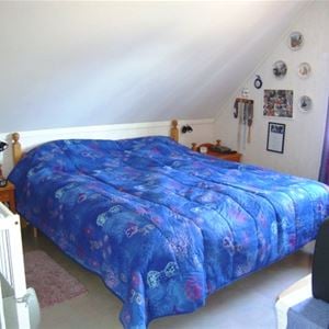 Double bed with blue patterned bedspread in a room with a sloping roof.