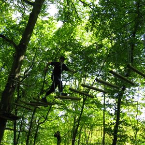 accrobranche espace normandie aventure apercu evenements