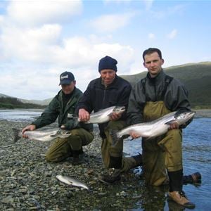 Elvefiske / Laksefiske - Nordic Safari