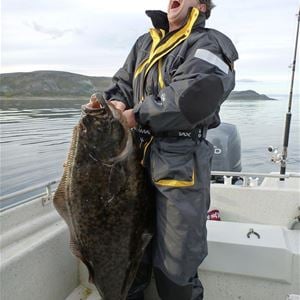 Deep sea fishing - Nordic Safari