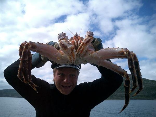 King crab fishing in winter and summer time- Nordic Safari 