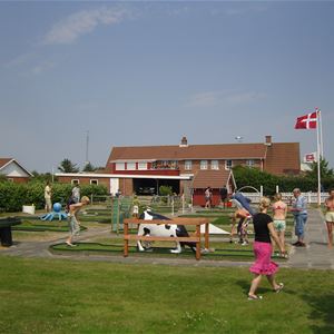 Rødgaard Camping - Camp site