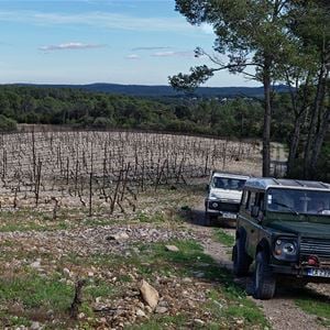 Balade en 4x4 dans les vignes en Pic Saint-Loup, Domaine Haut-Lirou