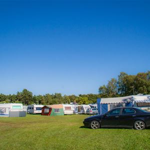 Tofta Camping - Camping pitches