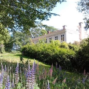 Hoby Gård Bed And Breakfast
