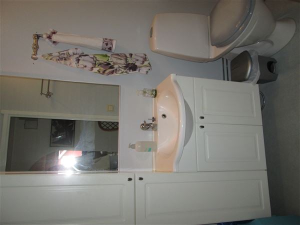The toilet and a basin. 