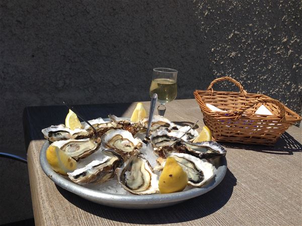 Oysters and Wine tasting : gourmet route