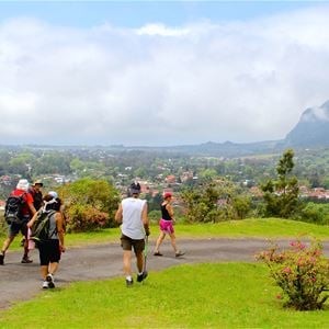 Guided walk to Piton des Songes