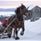 Horse and sleigh and views of Lake Orsas. Winter landscape.