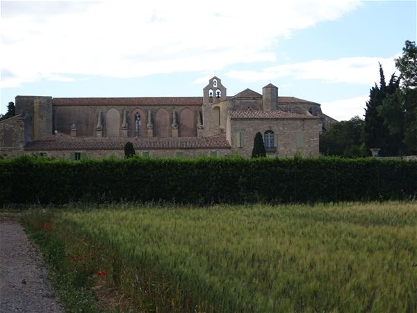 Tasting, culture and terroir in the area of Pezenas with Belle Tourisme