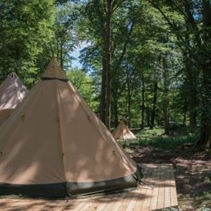 Camp Oak - Skånes Djurpark (Tält-2-10 pers)