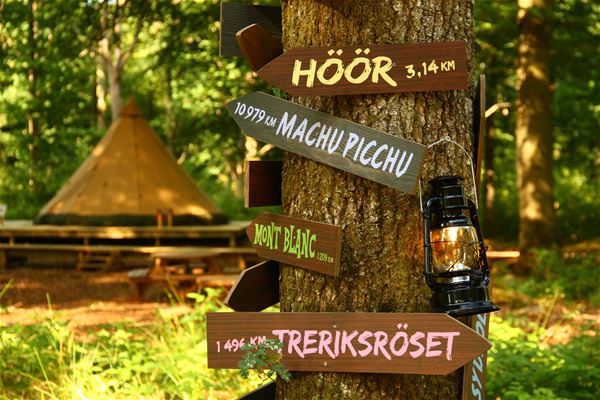 Camp Oak - Skånes Djurpark (Tält-2-10 pers) 