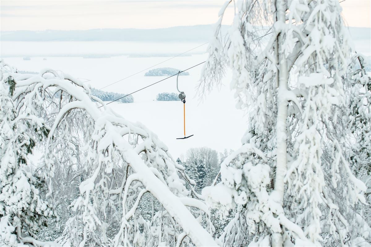 A ski lift between two snow laden trees.