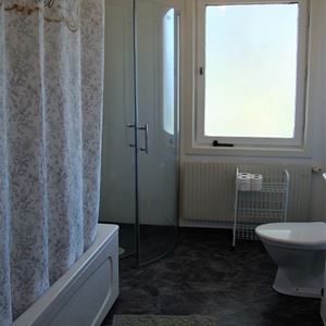 A bathroom with a shower and a bathtub.