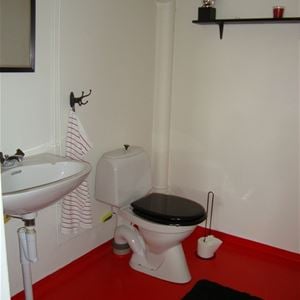 Toilet seat and a basin.