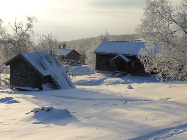 Två timmerhus på ett gårdstun en solig vinterdag. 