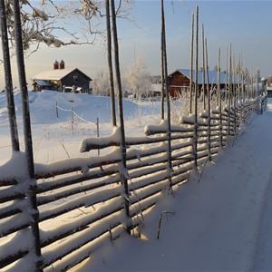Typical dalecarlian fence with snow on it. 