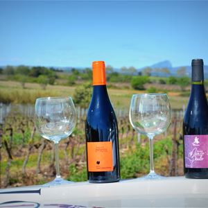 Excursión al corazón de AOP Languedoc Saint Christol, visita y degustación de Vign'O vins