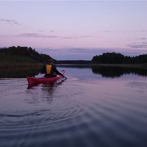 Madelen Zander,  © Multiadventures Sweden, Paddling i Färnebofjärdens nationalpark