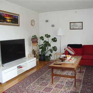 Living room with a sofa and a television.