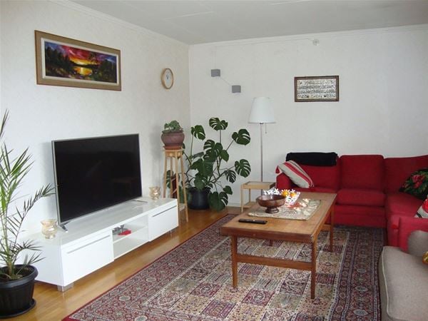 Living room with a sofa and a television. 