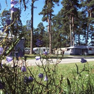 Bromölla Camping & Vandrarhem/Camping