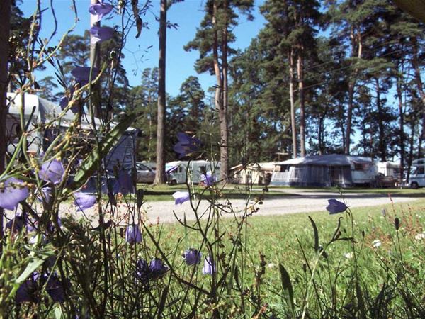 Bromölla Camping & Vandrarhem/Camping 