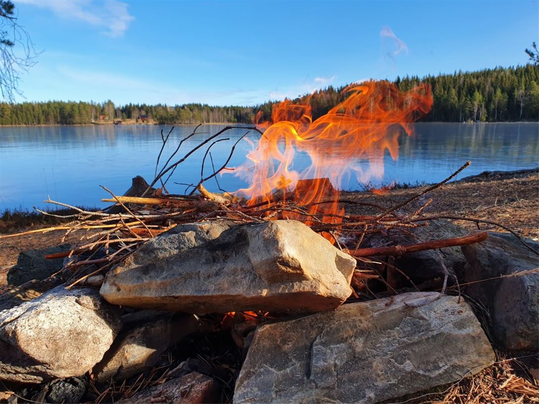 Naturbild, eld i förgrunden och sjö i bakgrunden.