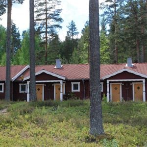 Red cabins among the trees.