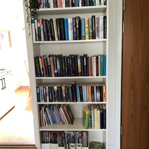 Bookshelf with a library.