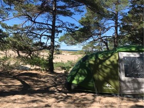 Tofta Camping - Tältplats utan el 