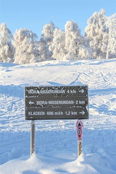 Road signs at the ski center. 