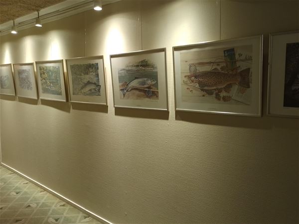 Exhibition -  fishes 