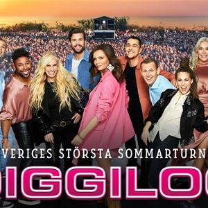 DIGGILOO - Sveriges största sommarturné