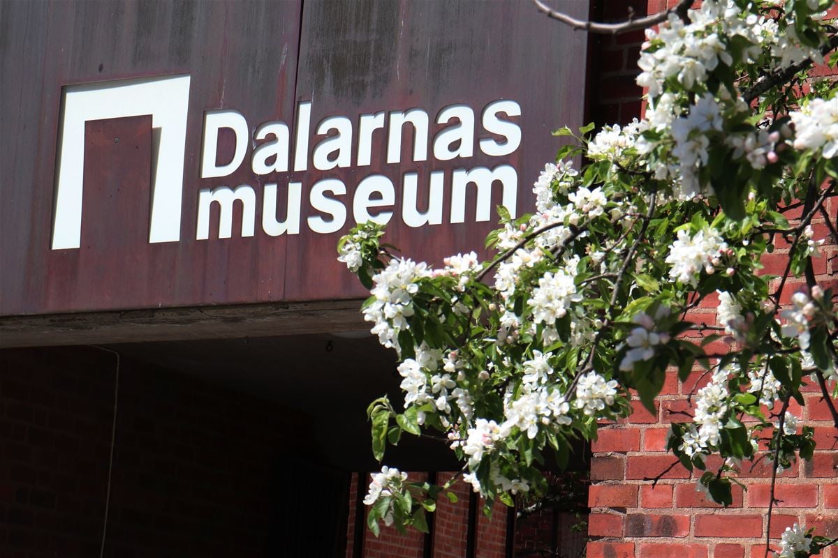 The entrence to Dalarnas Museum.