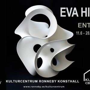 Konstutställning: Eva Hild - Entity 