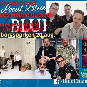 Kokomo Kings, Blues Mobile Quartet och Honey Boy Slim & The Bad Habits - Dalaborgsparken Vänersborg