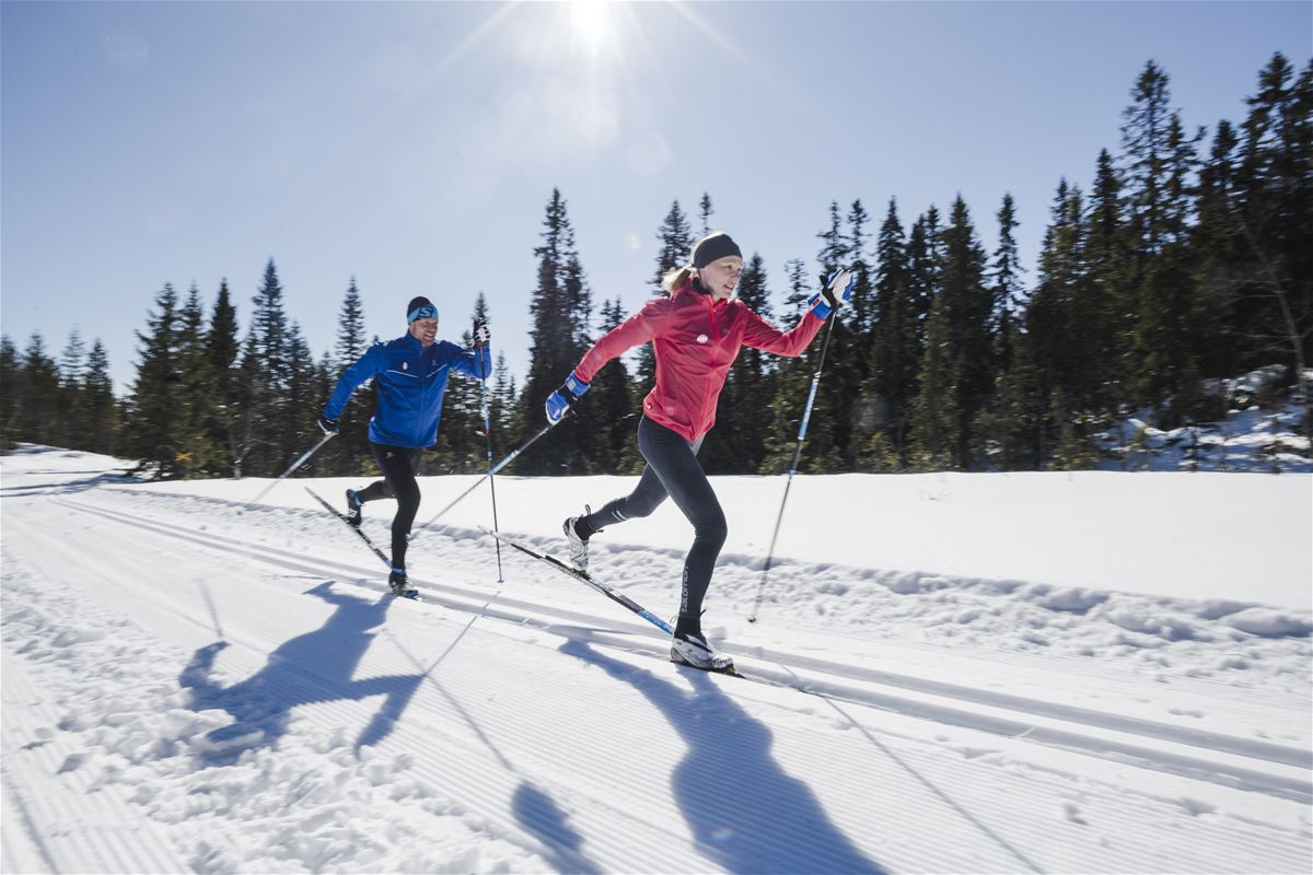 Two cross-country skiers on ski track.