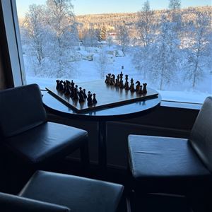 A chess in silhouette in front of a window with a view of frost covered trees. 
