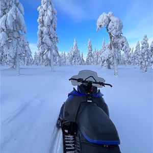 Snowmobile heading towards snow covered firs. 