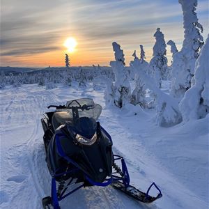 Snowmobile on the trail in the sunset. 