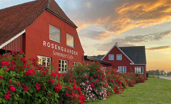 Rosengaarden Hostel 