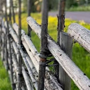 Dalecarlian fence. 