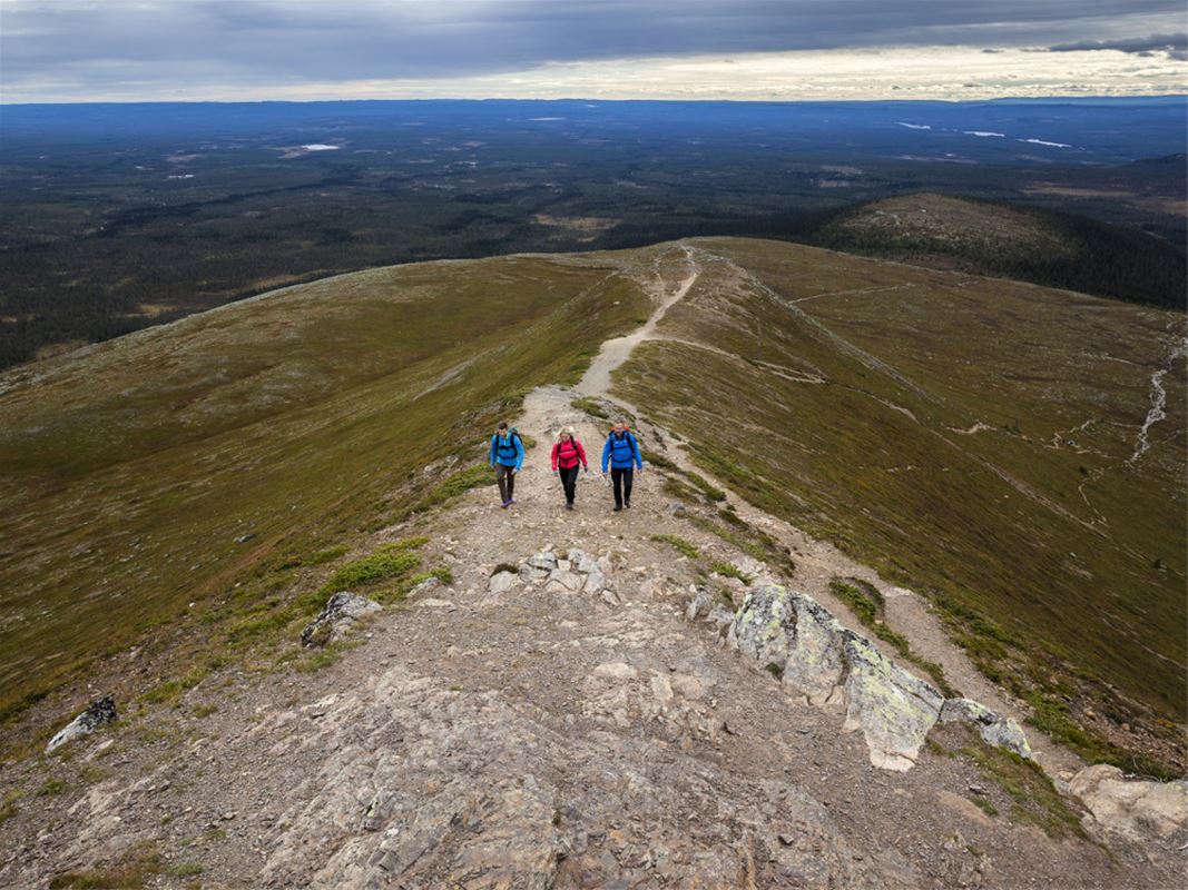 Three people are walking on a path up the mountain.