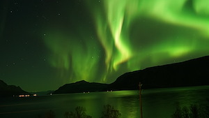 3. Nights Northern Lights and Whale