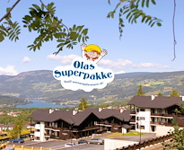 Ola's super ticket Sørlia apartments 10 beds