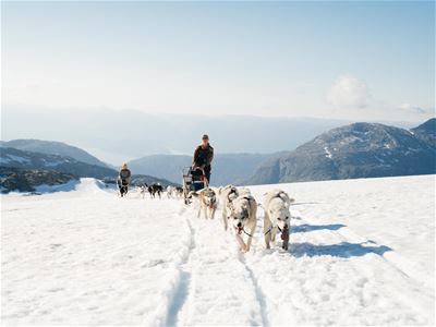 Guests on a sled being pulled by huskies
